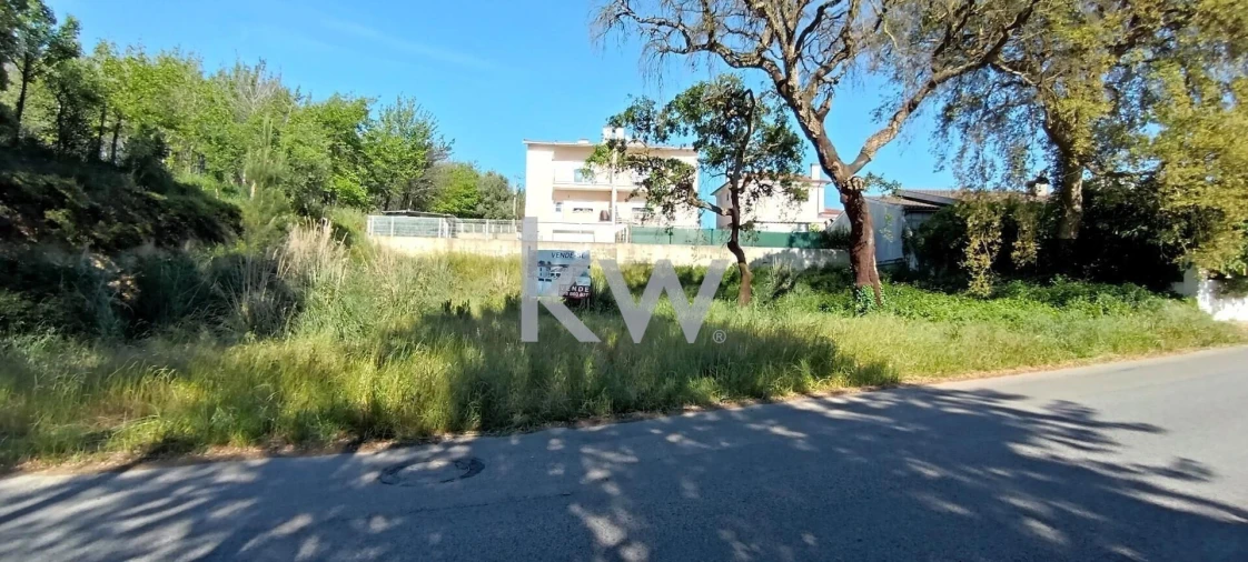 Terreno para Venda em Travassô e Óis da Ribeira Foto 11