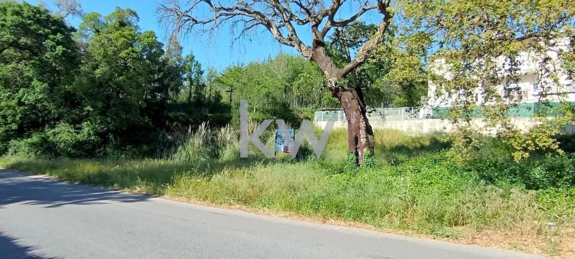 Terreno para Venda em Travassô e Óis da Ribeira Foto 7