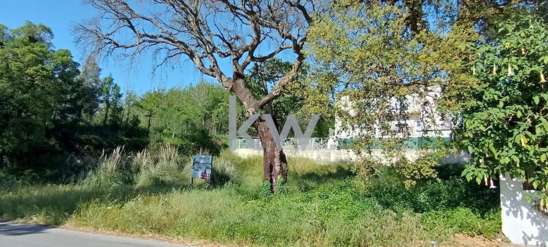 Terreno para Venda em Travassô e Óis da Ribeira Foto 6