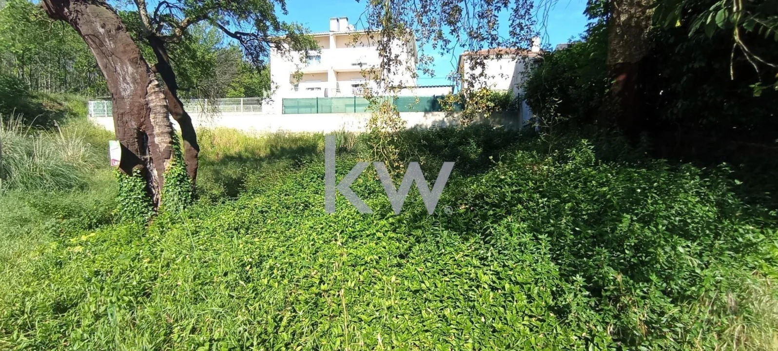 Terreno para Venda em Travassô e Óis da Ribeira Foto 12