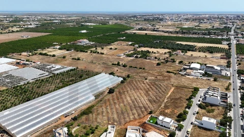 Terreno para Venda em Conceição e Estoi