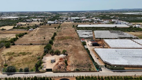 Terreno para Venda em Conceição e Estoi