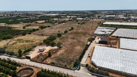 Terreno para Venda em Conceição e Estoi