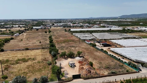 Terreno para Venda em Conceição e Estoi