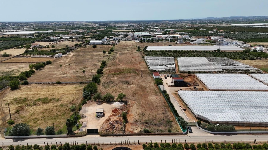 Terreno para Venda em Conceição e Estoi Foto 6