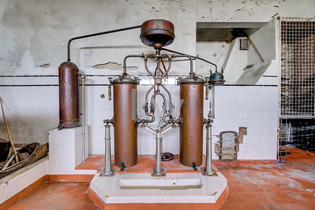 Moradia T4 para Venda em Chaviães e Paços Foto 34