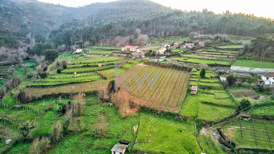 Moradia T4 para Venda em Chaviães e Paços Foto 54