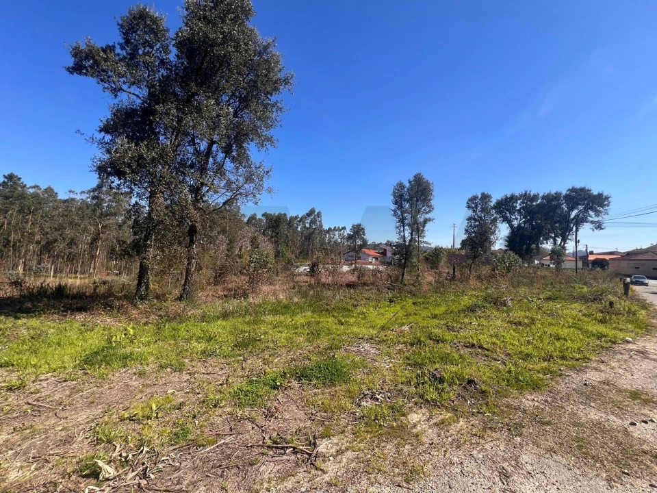 Terreno para Venda em São Martinho da Gandara Foto 16