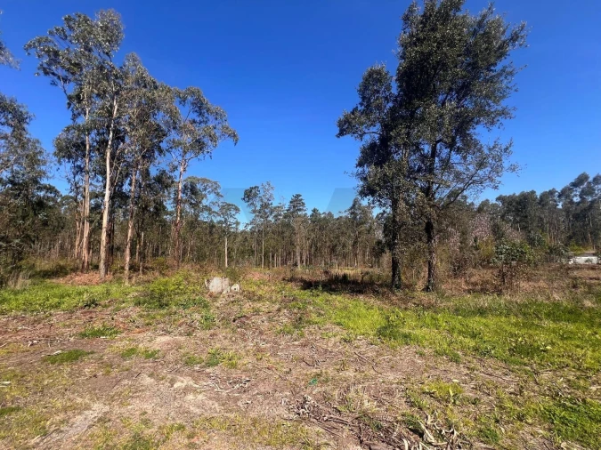 Terreno para Venda em São Martinho da Gandara Foto 22