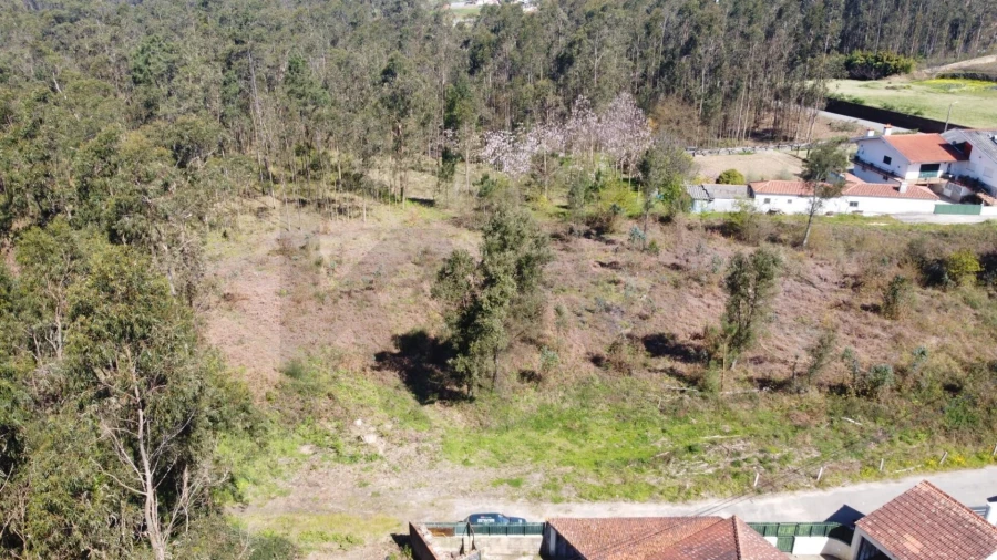 Terreno para Venda em São Martinho da Gandara Foto 12