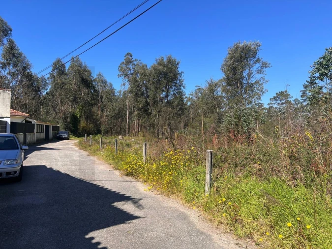 Terreno para Venda em São Martinho da Gandara Foto 21