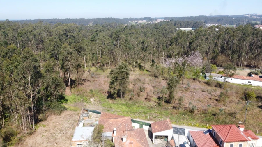 Terreno para Venda em São Martinho da Gandara Foto 14