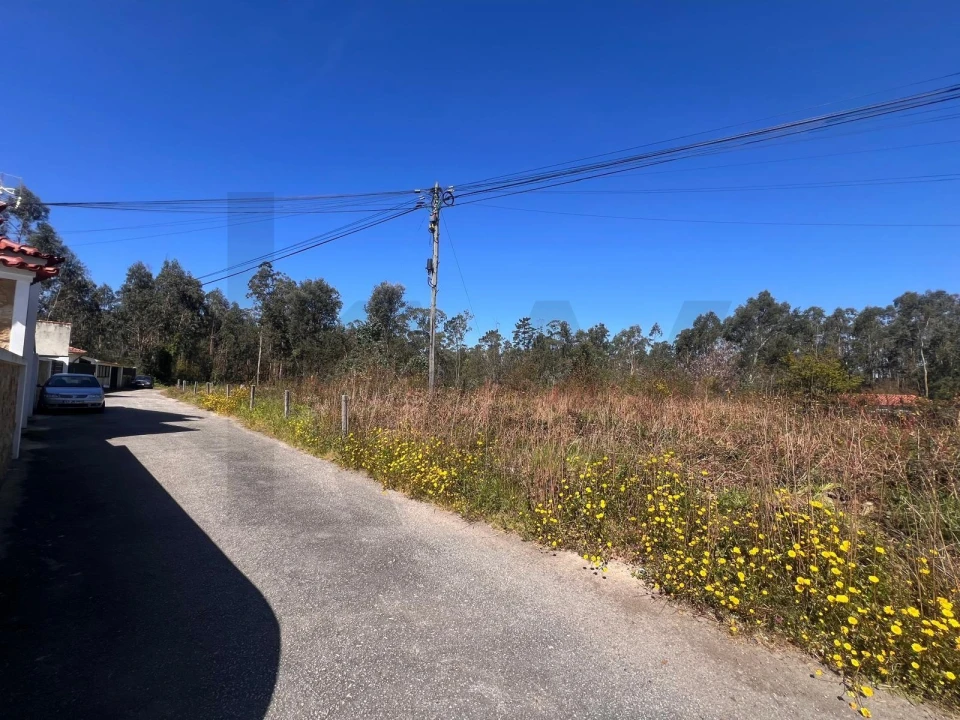 Terreno para Venda em São Martinho da Gandara Foto 18