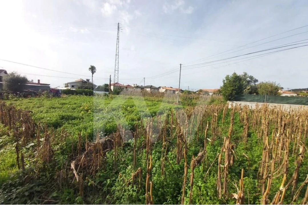 Terreno para Venda em Nogueira do Cravo e Pindelo Foto 11