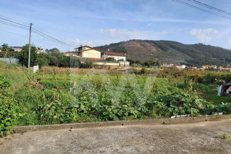 Terreno para Venda em Nogueira do Cravo e Pindelo Foto 6