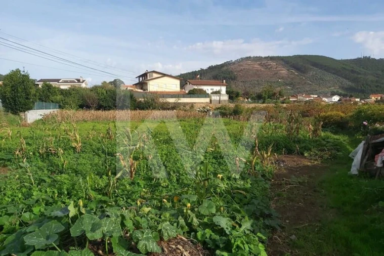 Terreno para Venda em Nogueira do Cravo e Pindelo Foto 9