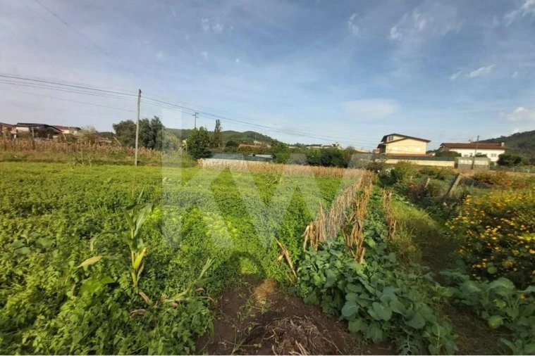 Terreno para Venda em Nogueira do Cravo e Pindelo Foto 12
