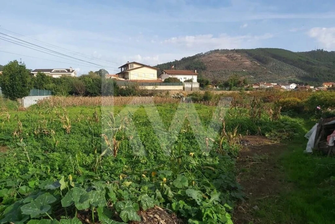 Terreno para Venda em Nogueira do Cravo e Pindelo Foto 9
