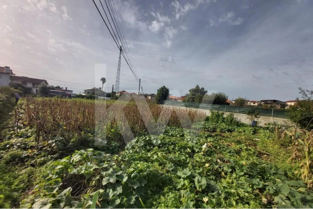 Terreno para Venda em Nogueira do Cravo e Pindelo Foto 10