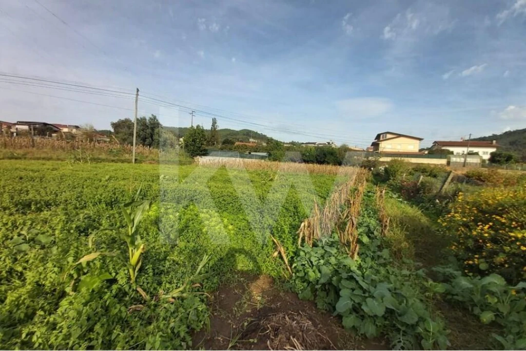 Terreno para Venda em Nogueira do Cravo e Pindelo Foto 12