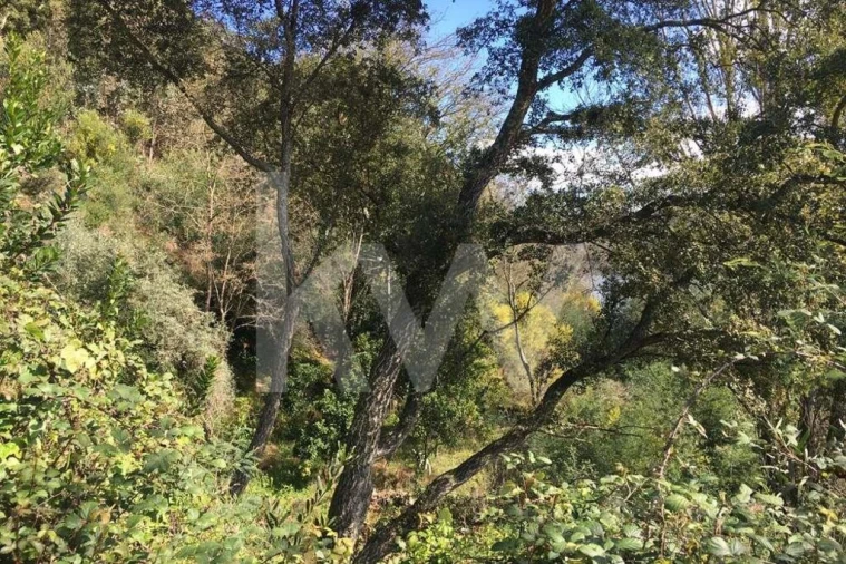 Terreno para Venda em Foz do Sousa e Covelo Foto 23