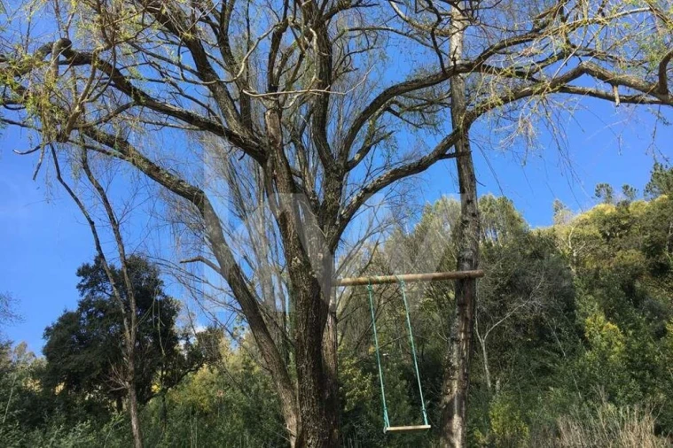 Terreno para Venda em Foz do Sousa e Covelo Foto 12