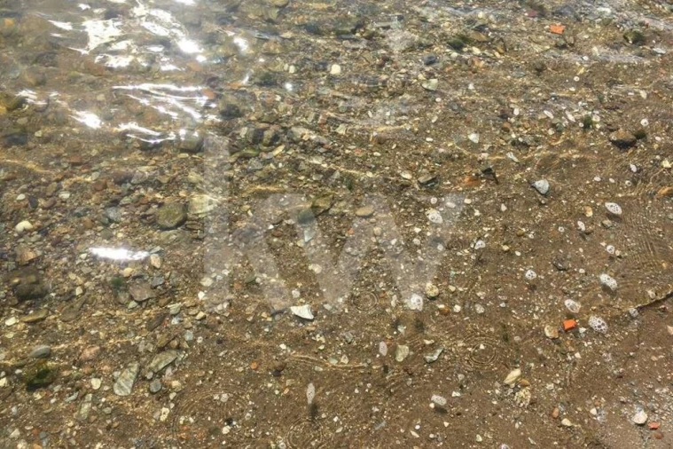 Terreno para Venda em Foz do Sousa e Covelo Foto 8