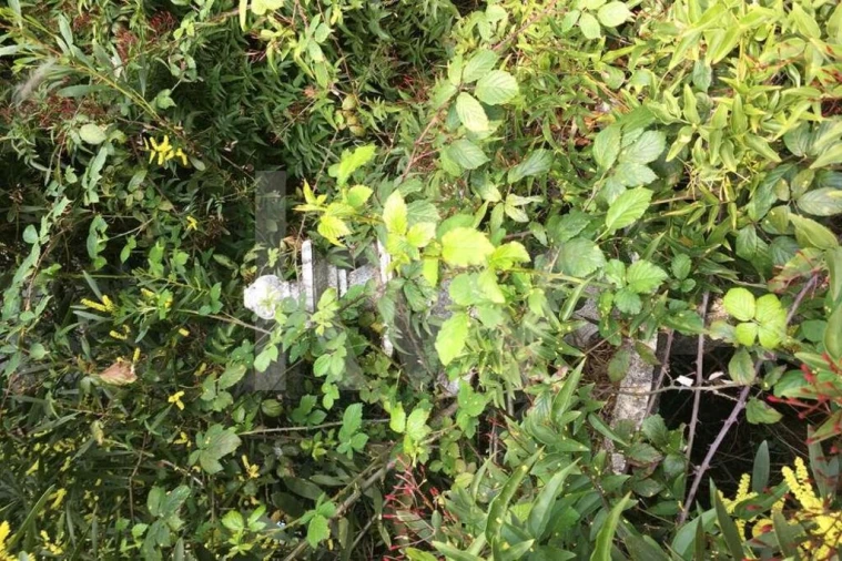 Terreno para Venda em Foz do Sousa e Covelo Foto 19