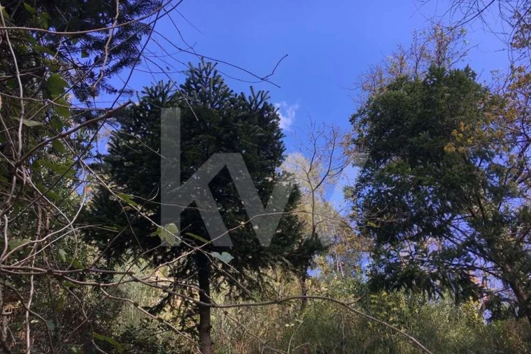 Terreno para Venda em Foz do Sousa e Covelo Foto 25