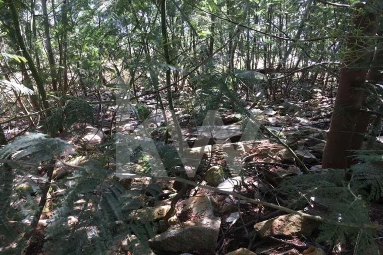 Terreno para Venda em Foz do Sousa e Covelo Foto 13