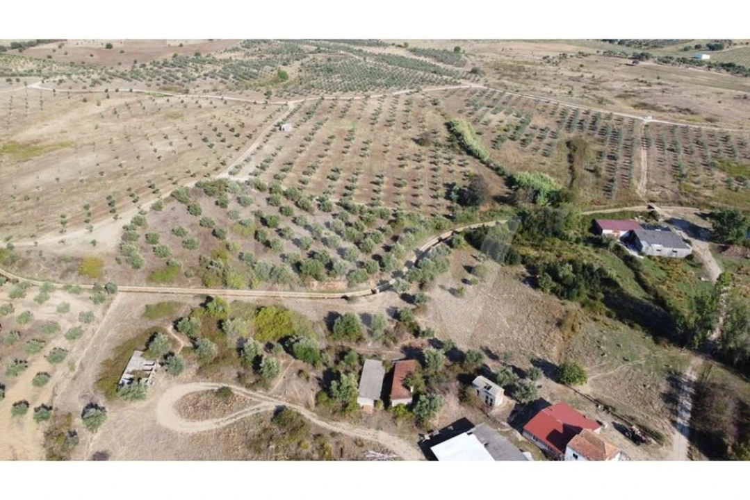 Quinta T4 para Venda em Ladoeiro Foto 49