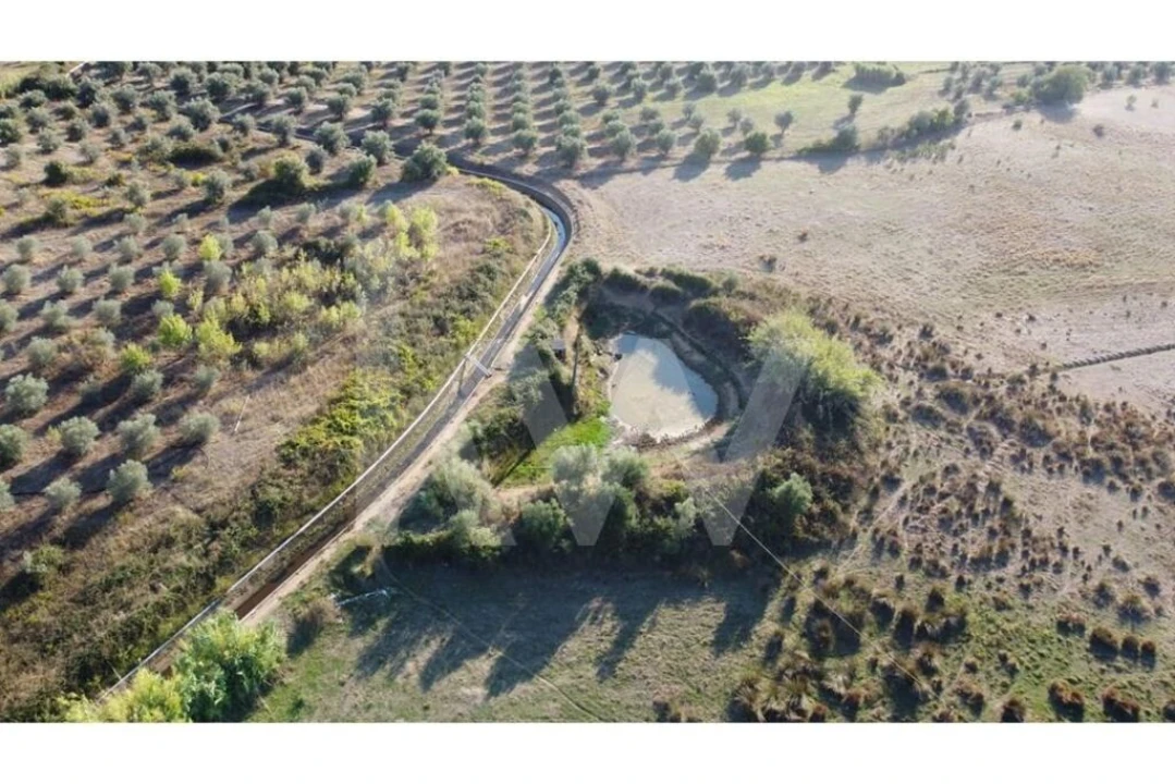 Quinta T4 para Venda em Ladoeiro Foto 83