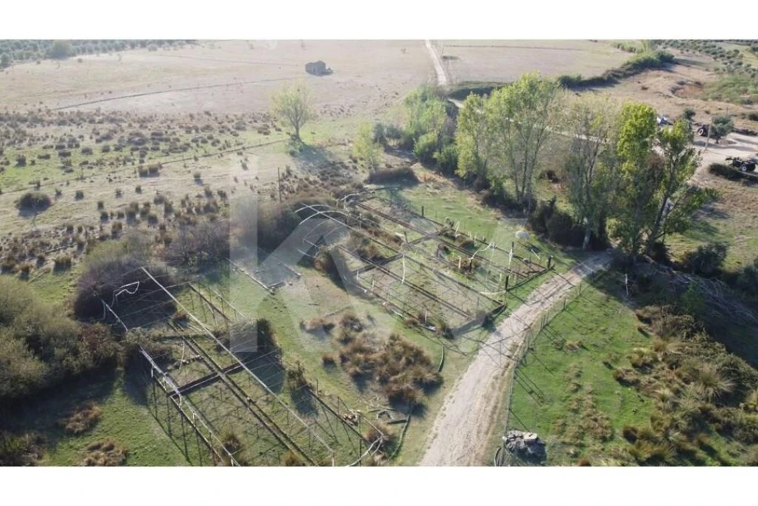 Quinta T4 para Venda em Ladoeiro Foto 97