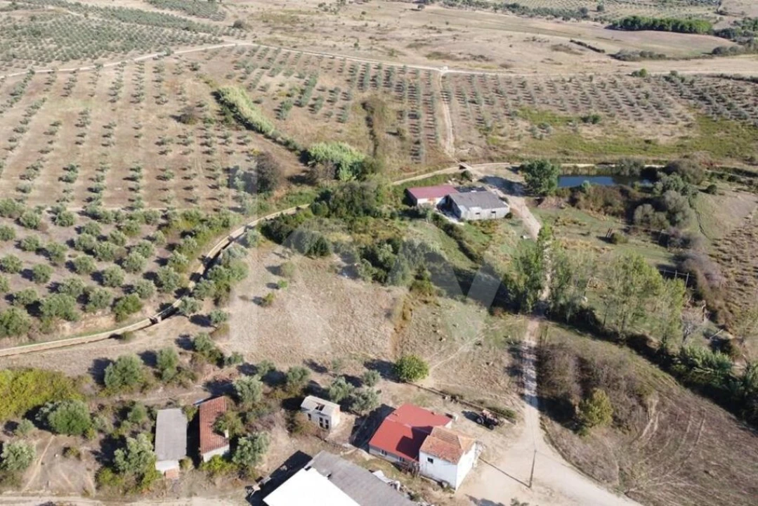 Quinta T4 para Venda em Ladoeiro Foto 106