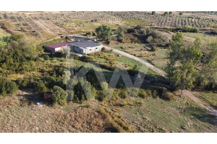 Quinta T4 para Venda em Ladoeiro Foto 77