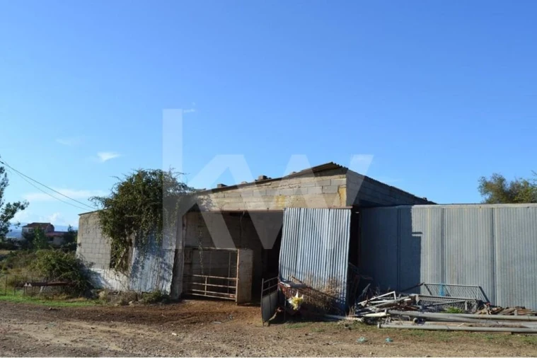 Quinta T4 para Venda em Ladoeiro Foto 35