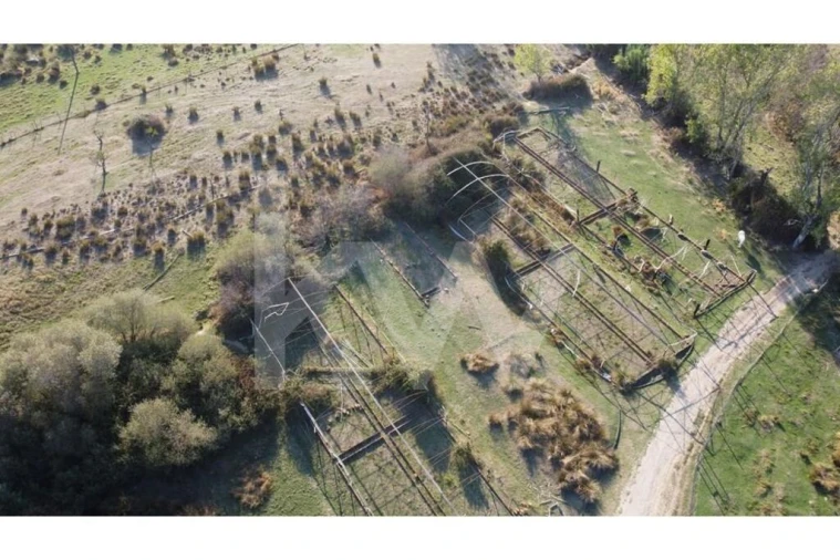 Quinta T4 para Venda em Ladoeiro Foto 81