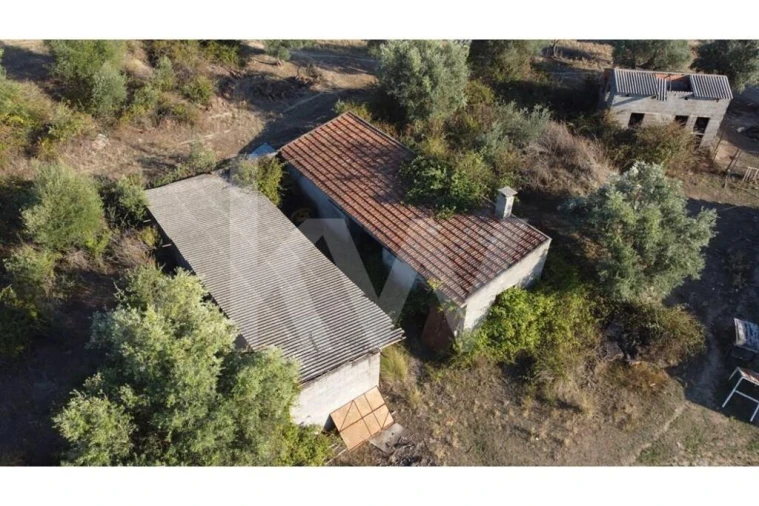 Quinta T4 para Venda em Ladoeiro Foto 76