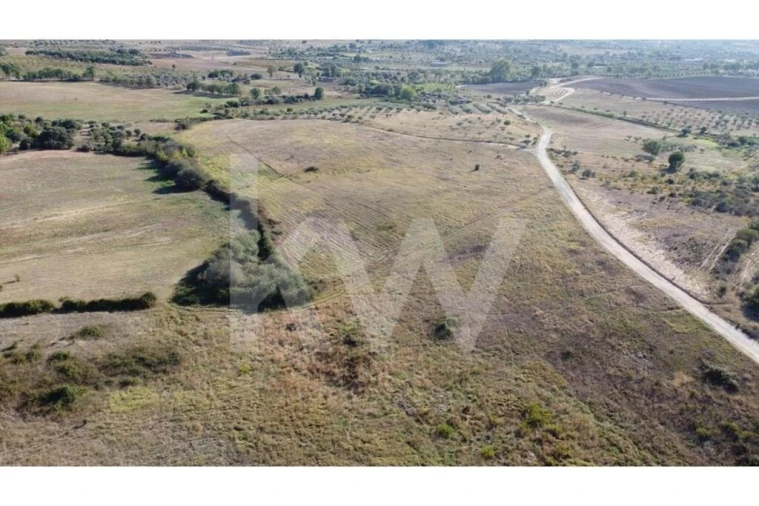 Quinta T4 para Venda em Ladoeiro Foto 68