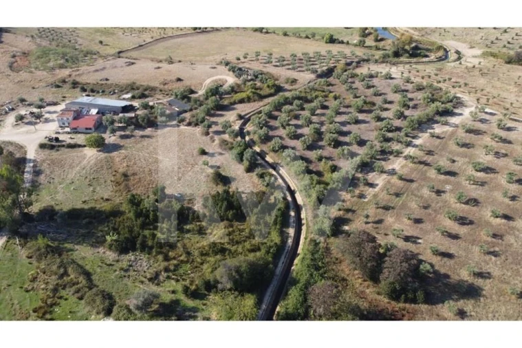 Quinta T4 para Venda em Ladoeiro Foto 41