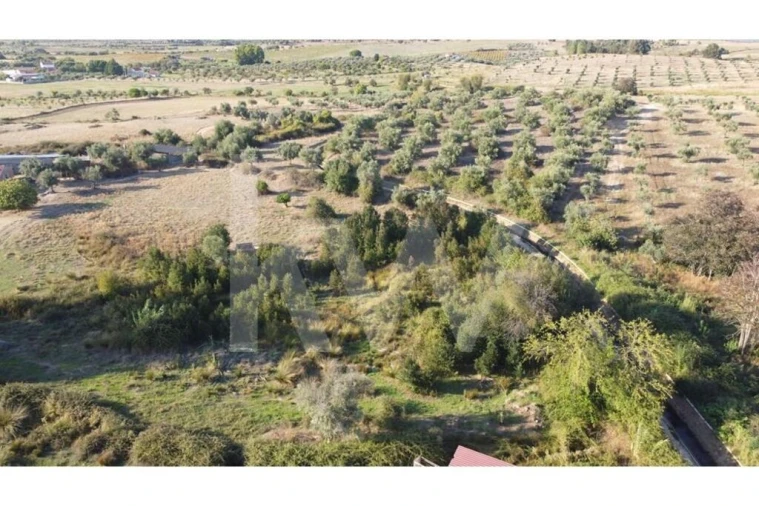 Quinta T4 para Venda em Ladoeiro Foto 96