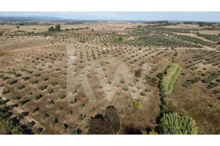 Quinta T4 para Venda em Ladoeiro Foto 59