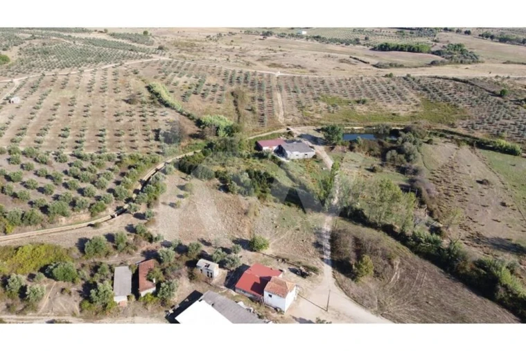 Quinta T4 para Venda em Ladoeiro Foto 48