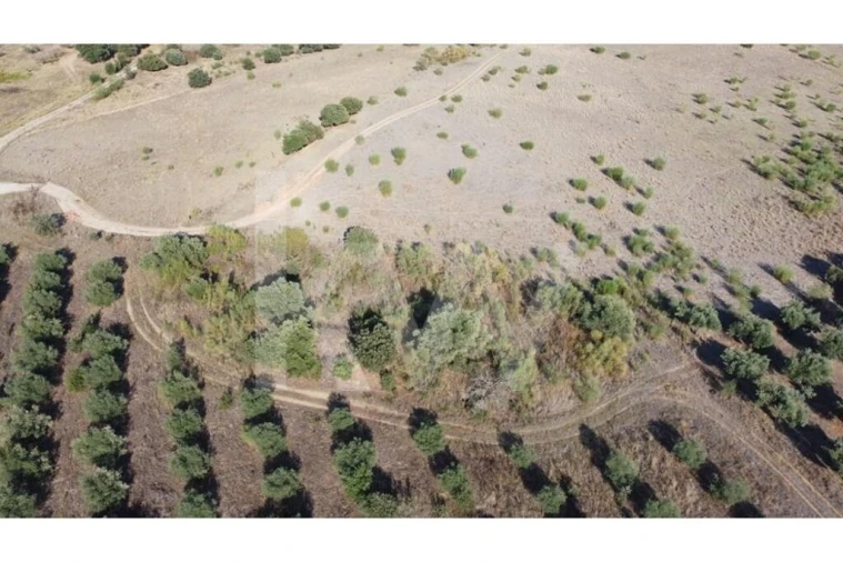 Quinta T4 para Venda em Ladoeiro Foto 86