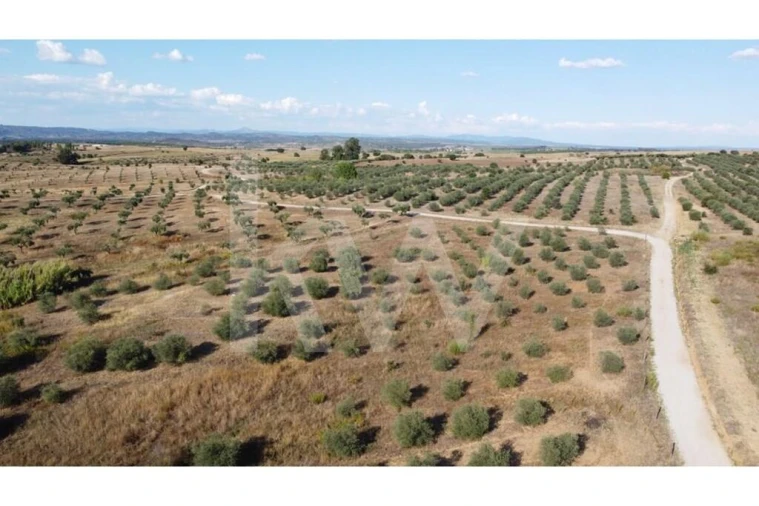 Quinta T4 para Venda em Ladoeiro Foto 111