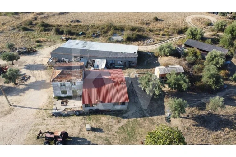 Quinta T4 para Venda em Ladoeiro Foto 100