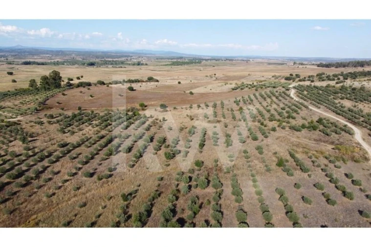 Quinta T4 para Venda em Ladoeiro Foto 113