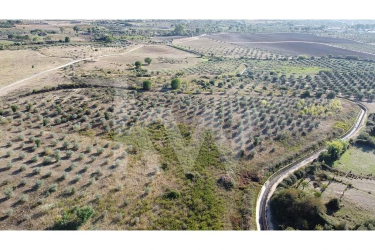 Quinta T4 para Venda em Ladoeiro Foto 92