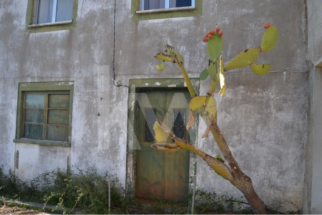 Quinta T4 para Venda em Ladoeiro Foto 5