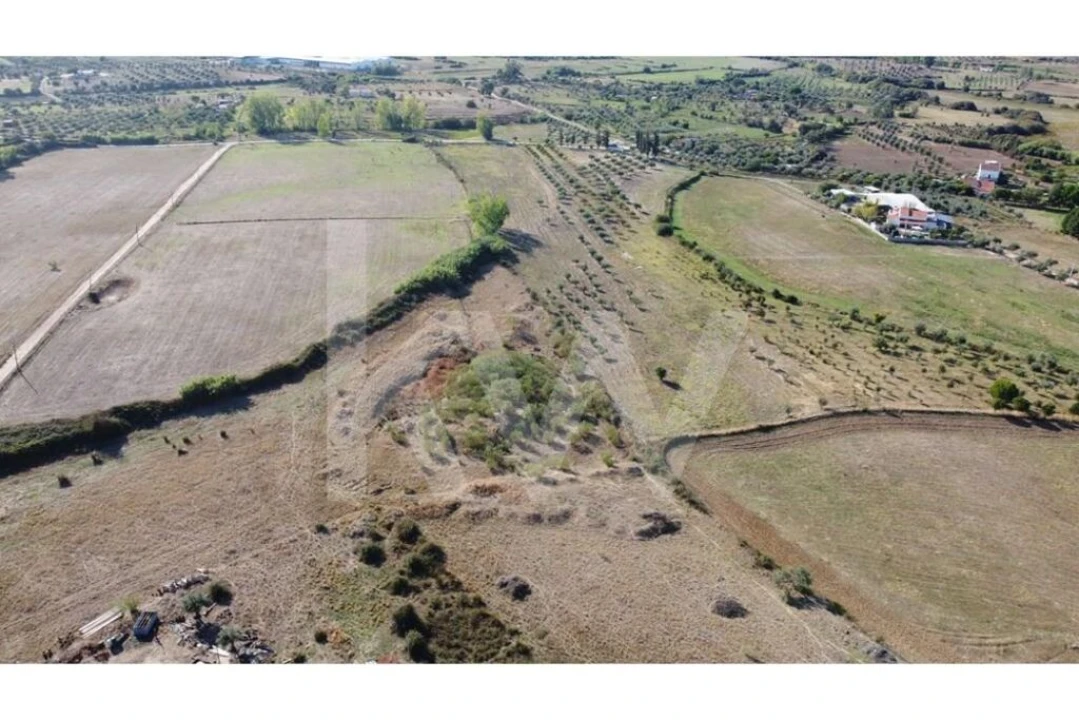 Quinta T4 para Venda em Ladoeiro Foto 45